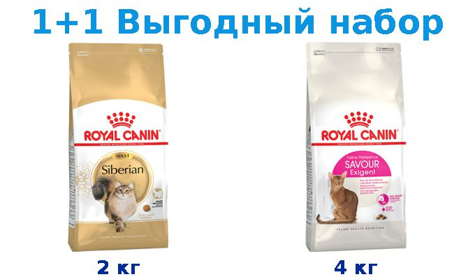 Сухой корм Взрослые, Royal Canin Breed cat Siberian 2 кг + Взрослые, Royal Canin Exigent Savoir Sensation #1