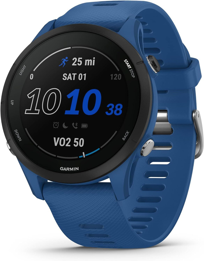 Garmin Умные часы Garmin Forerunner 255 Tidal Blue, 46mm, Синий #1