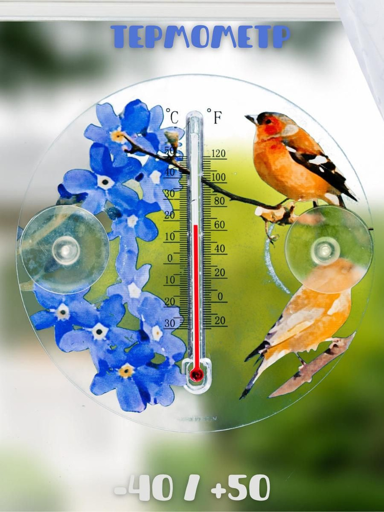 Термометр уличный птицы; комнатный; на окно #1