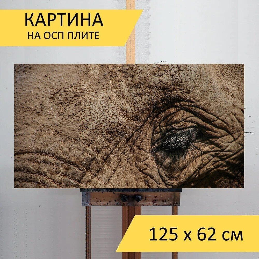 LotsPrints Картина "Слон, глаз, дикая природа 27", 125  х 62 см #1