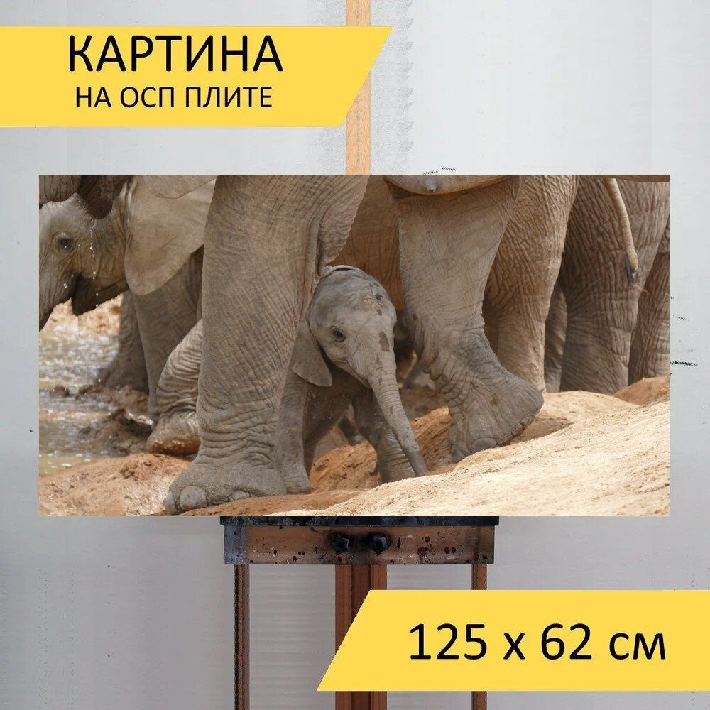 LotsPrints Картина "Слон, детка, животное 09", 125  х 62 см #1