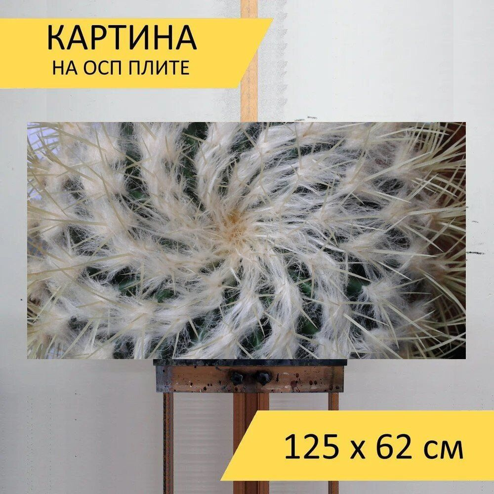 LotsPrints Картина "Кактус, структура, спираль 33", 125  х 62 см #1