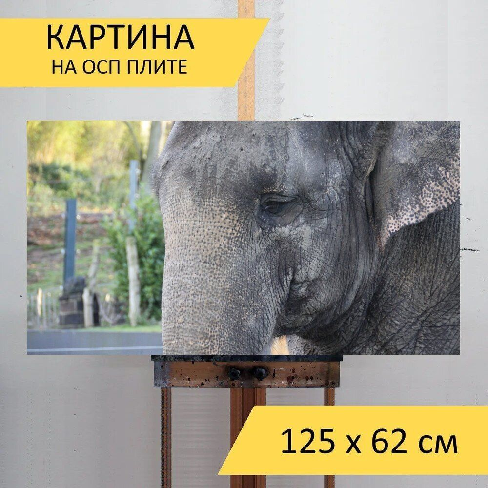 LotsPrints Картина "Слон, голова слона, животные 31", 125  х 62 см #1