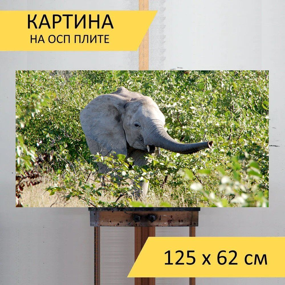 LotsPrints Картина "Слон, ствол, детеныш 08", 125  х 62 см #1