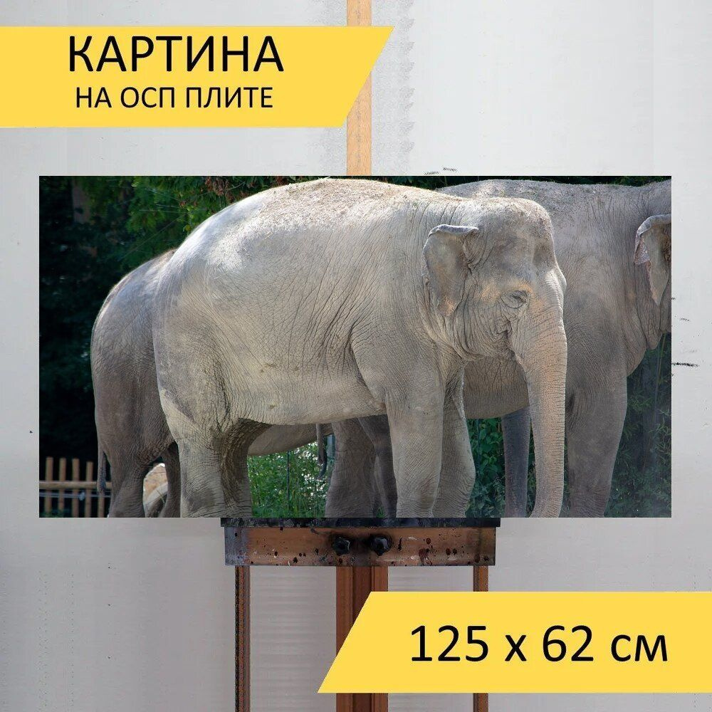LotsPrints Картина "Слон, животное, большой 74", 125  х 62 см #1