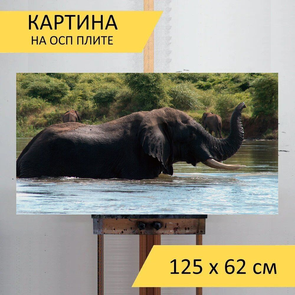 LotsPrints Картина "Слон, замбия, замбези 06", 125  х 62 см #1