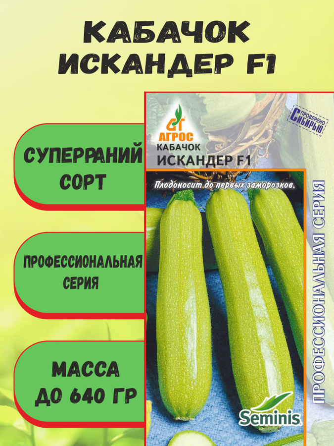 Кабачок искандер описание сорта фото