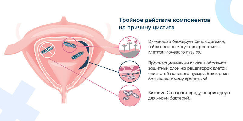 Текстовое описание изображения