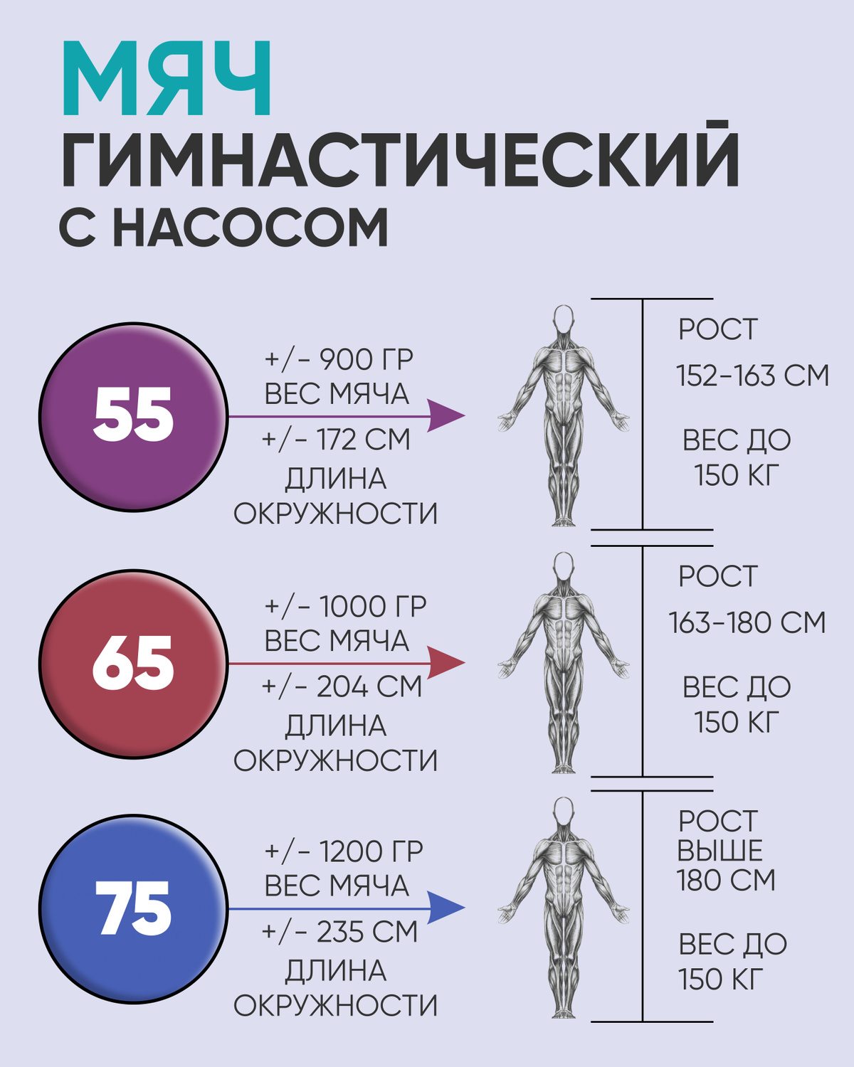 Текстовое описание изображения