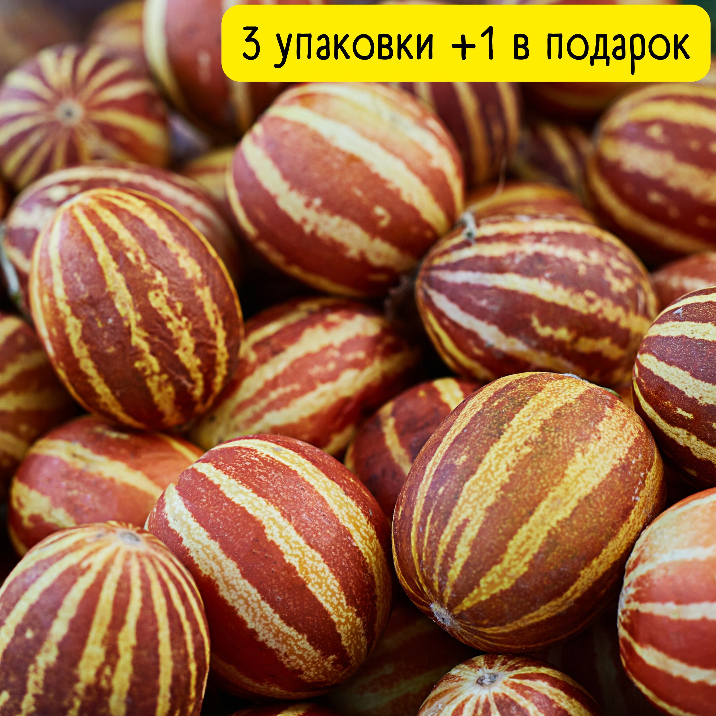 ВьетнамскаядыняСемена3уп.+1уп.(40шт.)