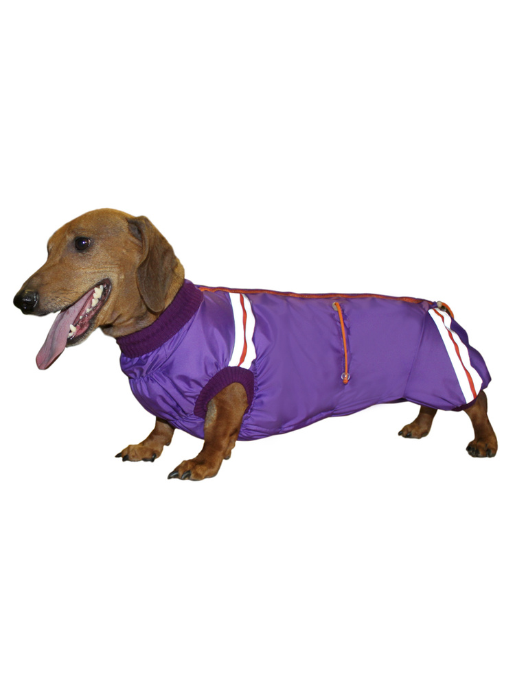 Комбинезон для таксы девочки зимний утепленный, модель "Спорт" р.35, одежда для собак КУЗеР - мода  #1