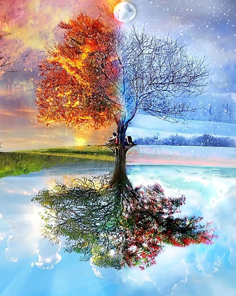 Картина по номерам на холсте 40x50 40 х 50 с подрамником "Четыре сезона года на одном дереве"  #1
