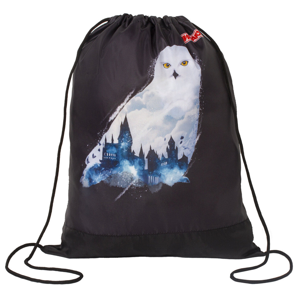 Сумка/мешок/рюкзак для сменной обуви (сменки) Пифагор, 1 отделение, 42х34 см, White Owl  #1