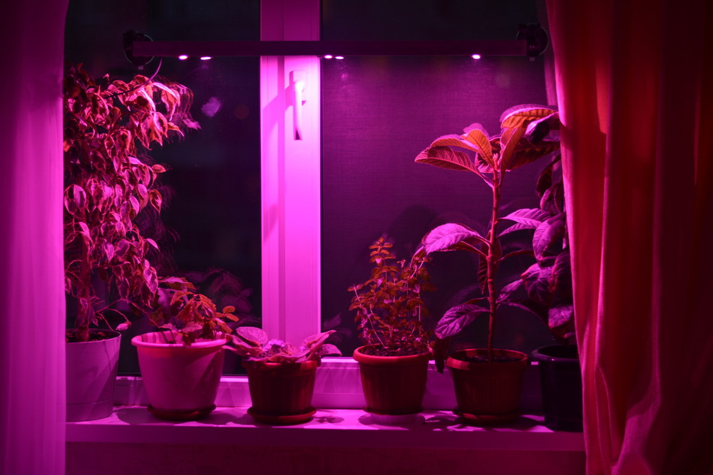 Оконная светодиодная лампа для растений "Васат" 40 Вт, 90 см  #1