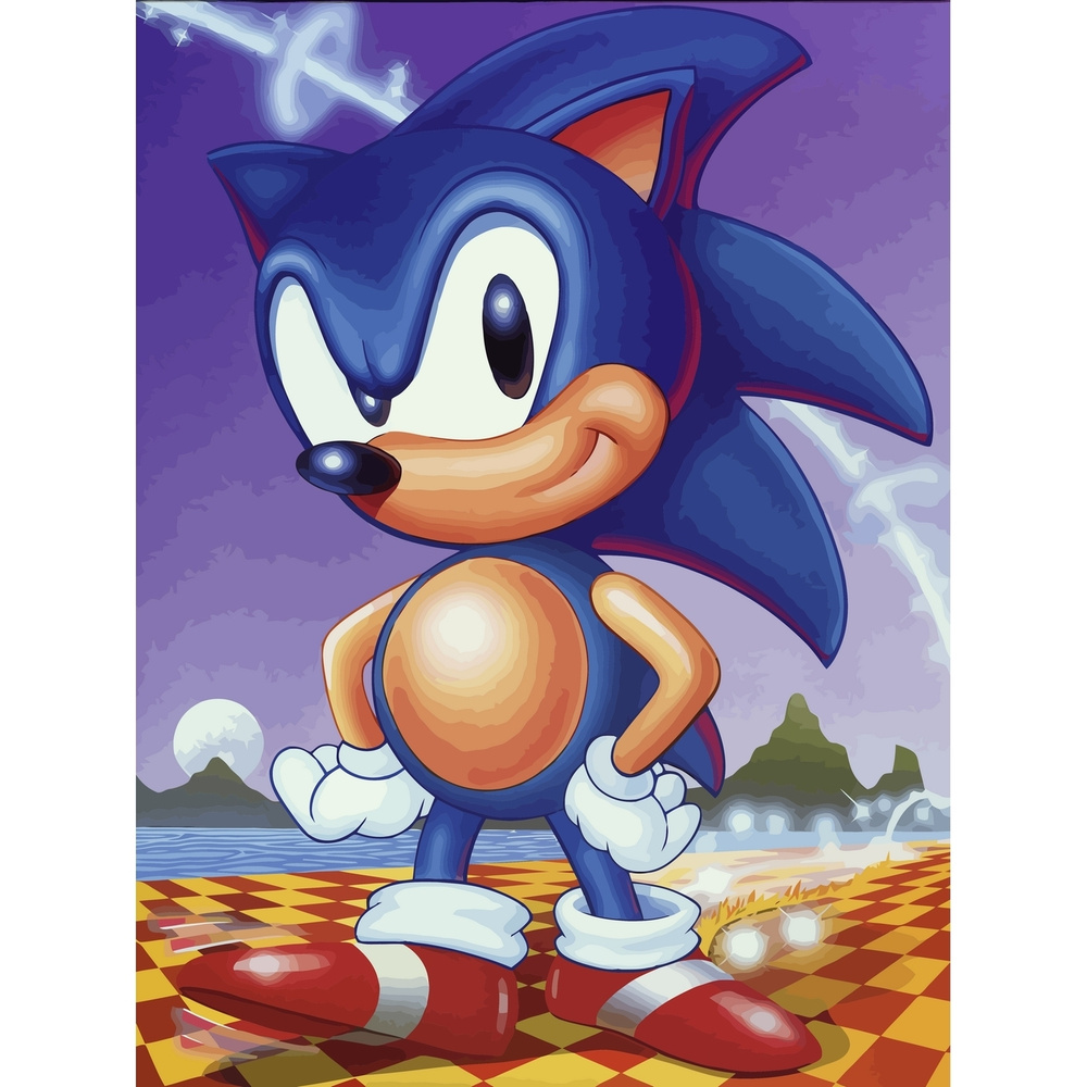 Картина по номерам на холсте Sonic - 7 30 x 40 #1