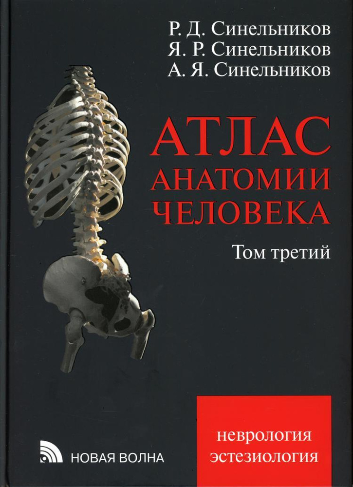 Атлас анатомии человека. Синельников. В 3 т. Т. 3. Учебное пособие. 7-е изд., перераб. (Версия 2021 года) #1