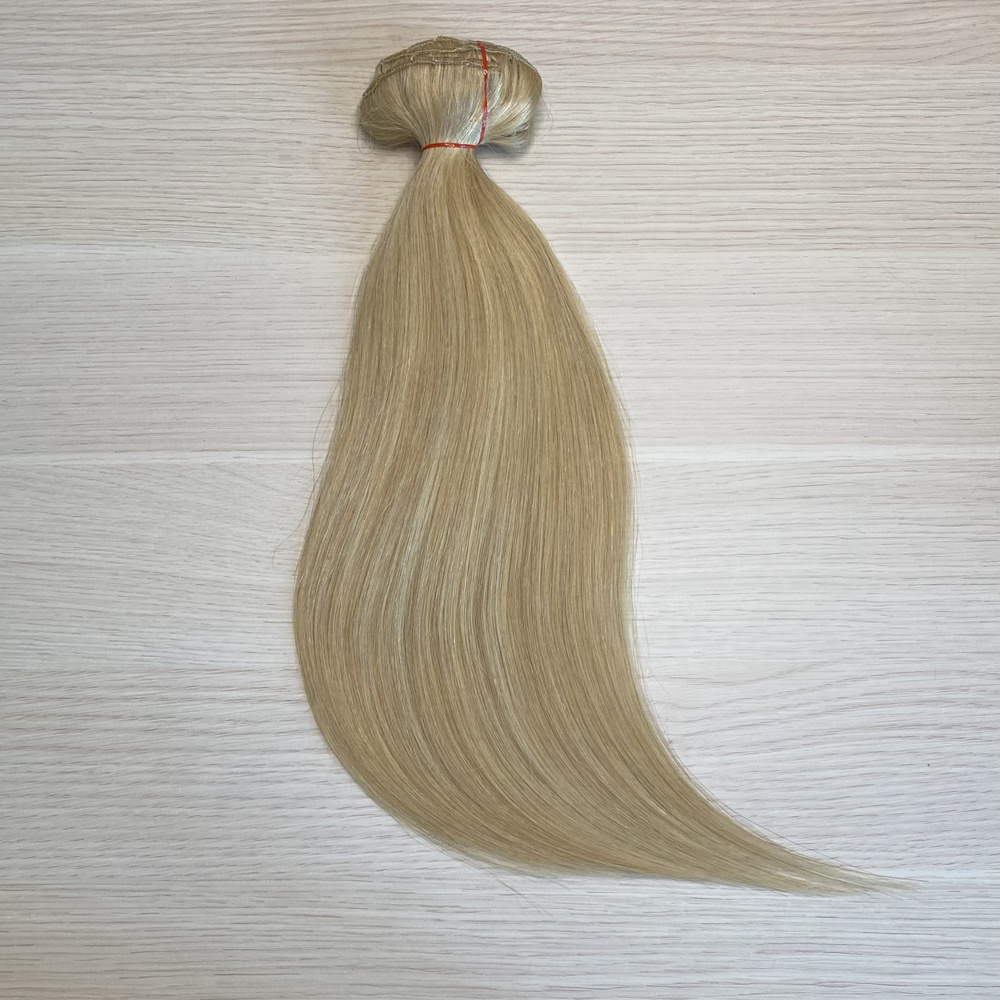 Натуральные волосы для наращивания 40см 70г - Затемненный блонд #22  #1