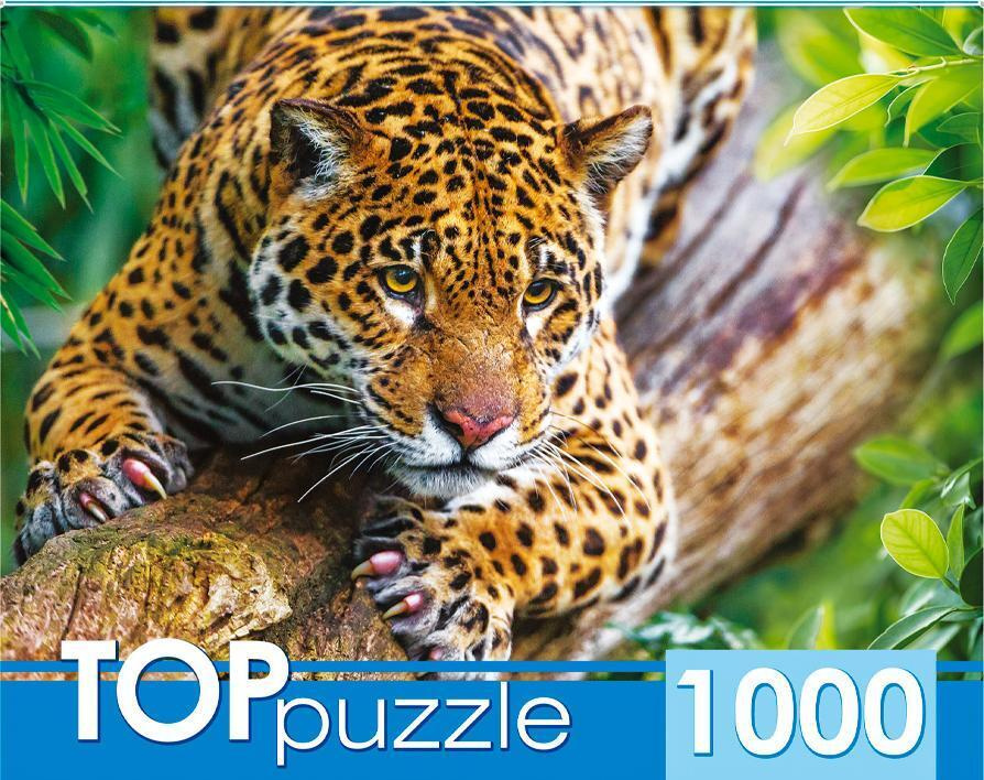 Пазл TOP Puzzle 1000 деталей, элементов: Грациозный леопард на дереве  #1