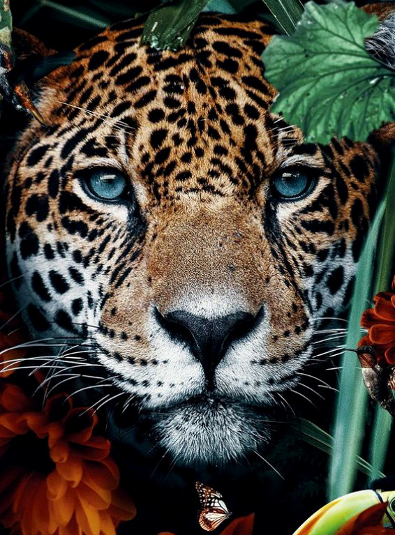 Алмазная мозаика на подрамнике 40x50 Полная выкладка. 40 х 50 "Леопард в ярких зарослях джунглей"  #1