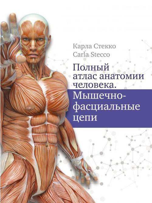 Полный атлас анатомии человека. Мышечно-фасциальные цепи | Стекко Карла  #1