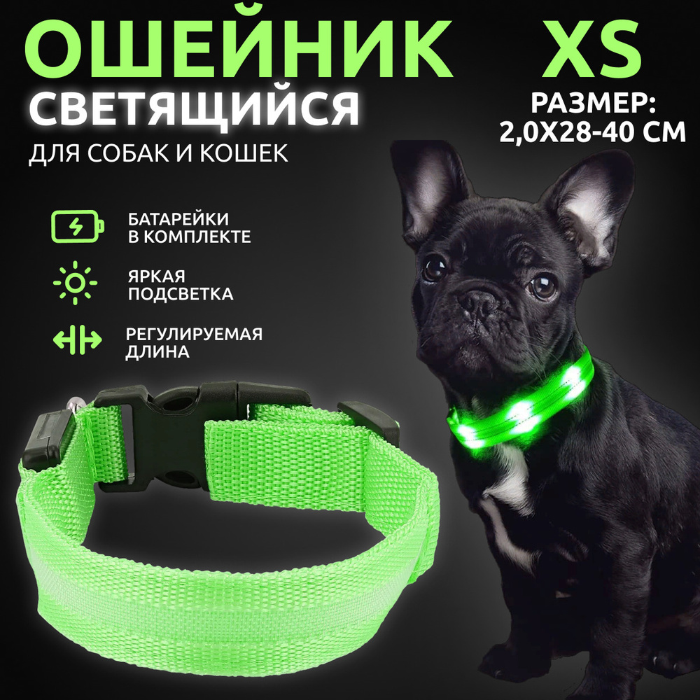 Ошейник светящийся для собак и кошек светодиодный нейлоновый зеленого цвета, размер XS - 2,0х28-40 см #1