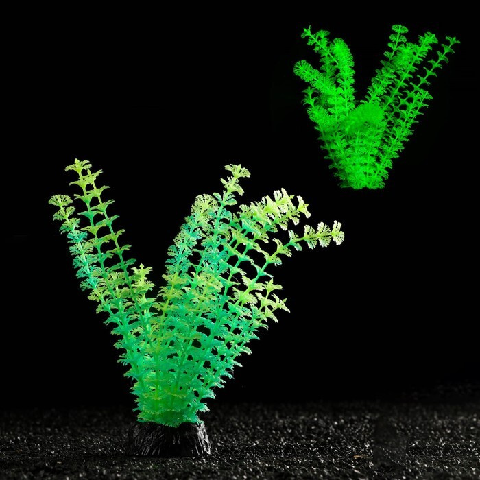 Растение искусственное аквариумное, светящееся, 18 см, зелёное  #1