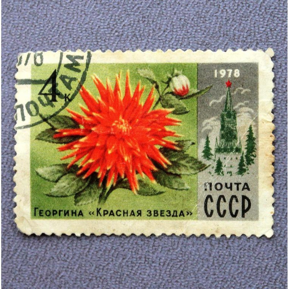 СССР 1978 Георгин Красная звезда #1