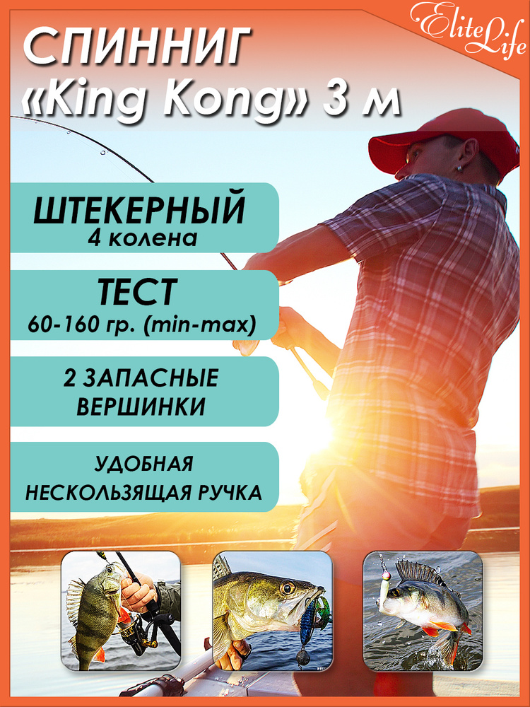 Спиннинг KingKong штекерный WEI-069, 3 м., test 60-160, с 2-мя дополнительными вершинками.  #1