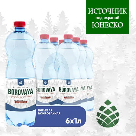 Вода питьевая BOROVAYA (БОРОВАЯ), природная газированная, ПЭТ 1 л (6 штук)  #1