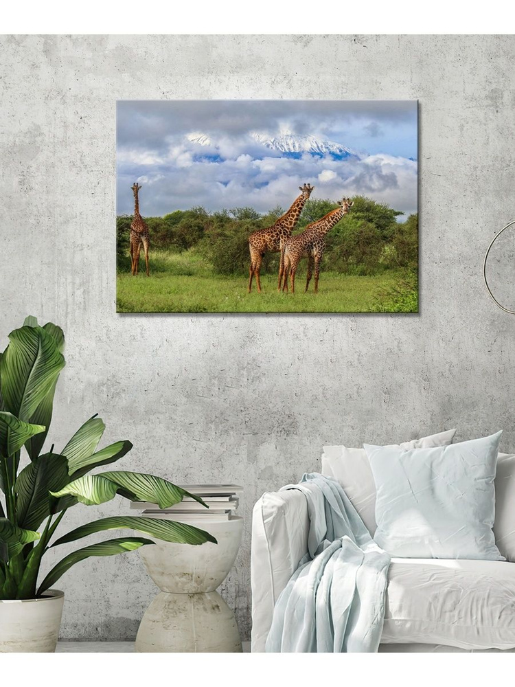 Картина на холсте с подрамником ХитАрт Жираф Африка; жирафы закат 8 50x70 -  купить по низкой цене в интернет-магазине OZON (686948046)