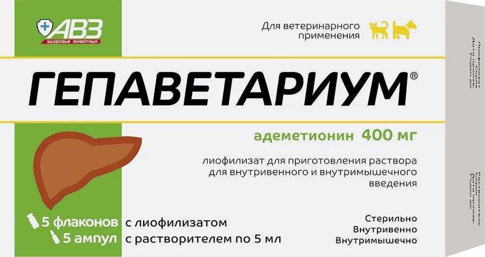 Гепаветариум 400 мг раствор для инъекций 5 мл, № 5 #1