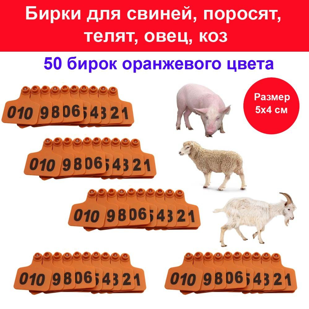 Бирки в уши для овец, коз, свиней, поросят, телят, МРС, КРС - 50 ушных бирок оранжевого цвета  #1