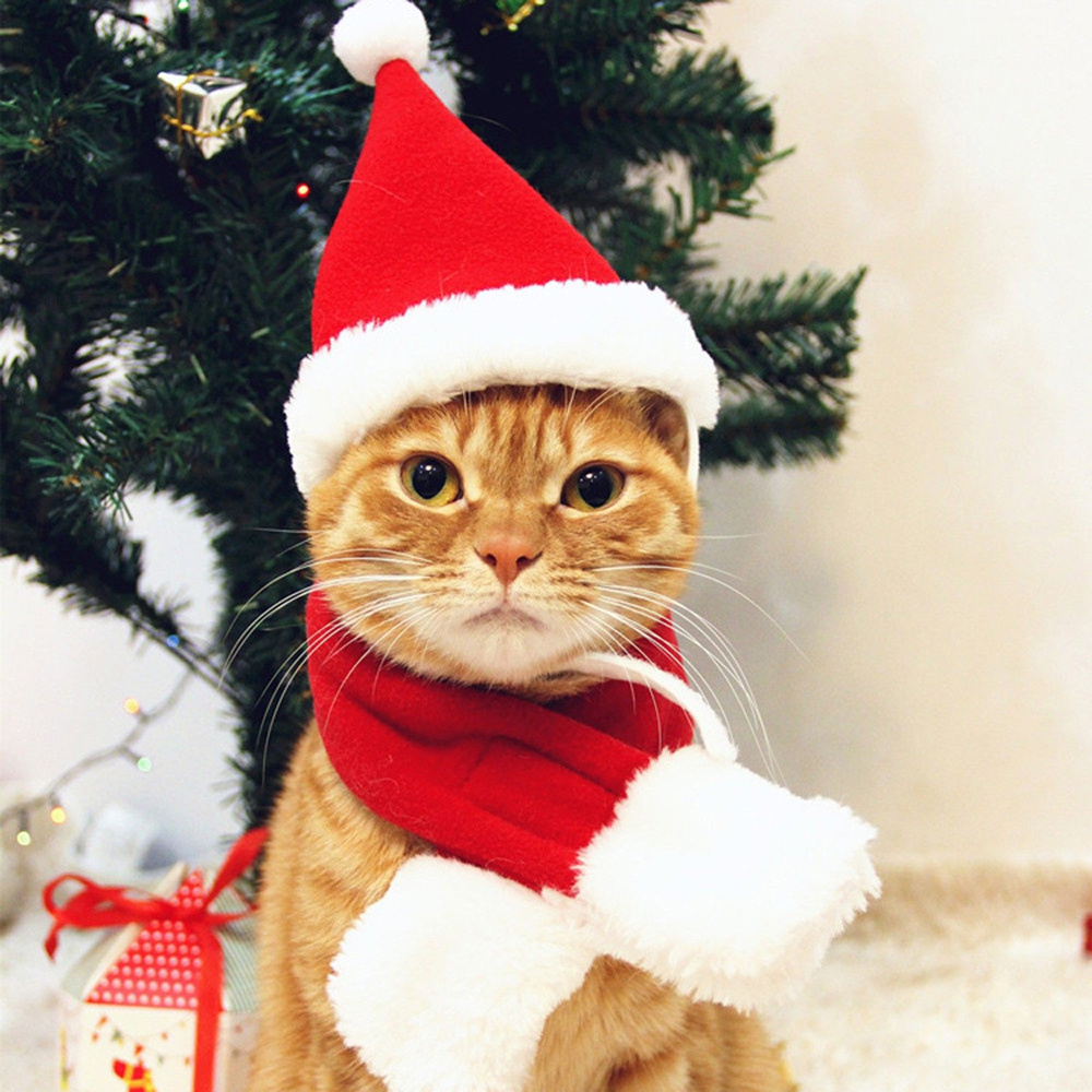 Новогодний рождественский набор-подарок из шапки-колпака и шарфа для кошек, собак и других животных GABYDOG, #1