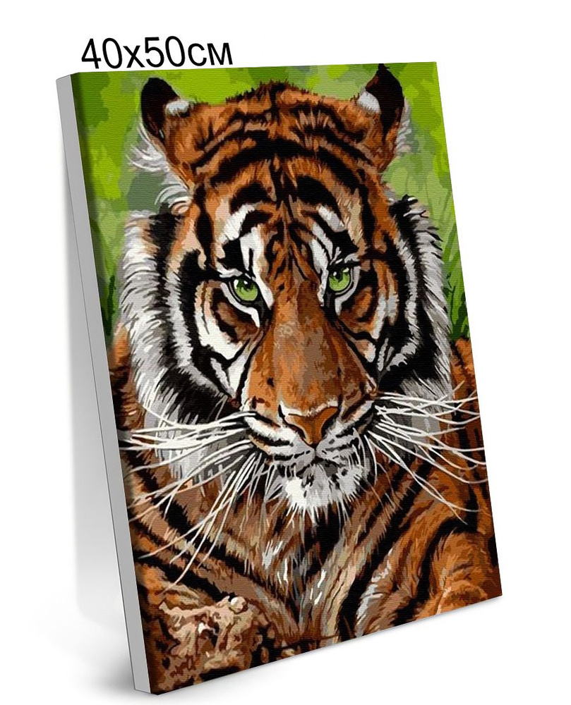 Картина по Номерам на Холсте 40х50 см Colibri Суровый Тигр Животные С Подрамником для Детей и Взрослых #1