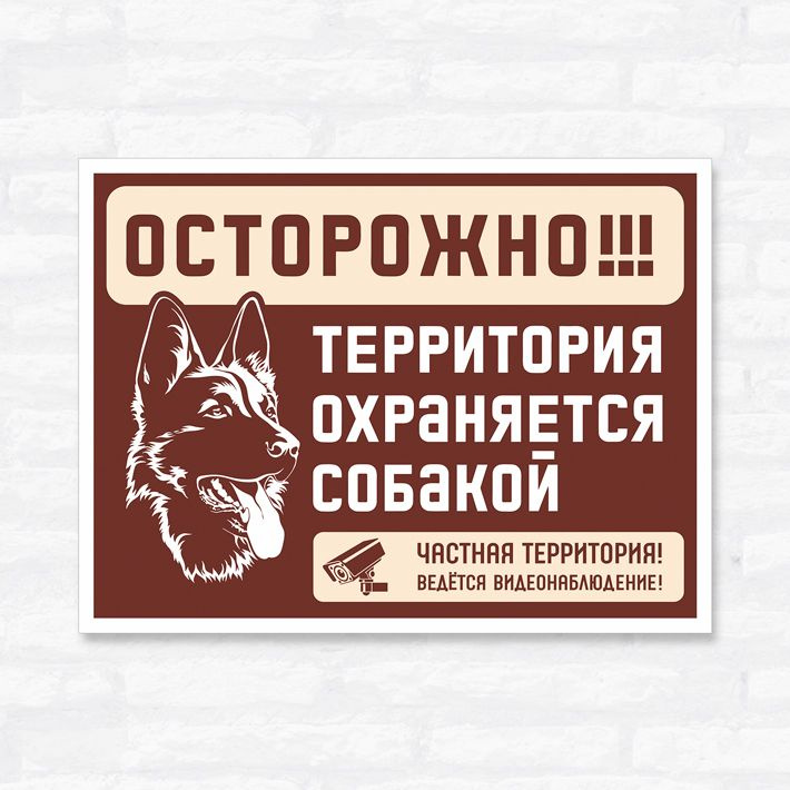 Табличка "Осторожно! Территория охраняется собакой. Частная территория, Ведется видеонаблюдение", 33х25 #1