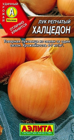 Лук репчатый Халцедон луковица за один сезон #1