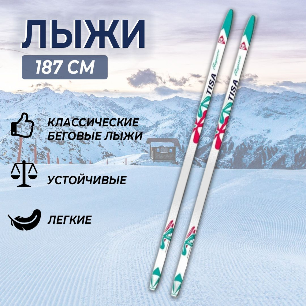 Tisa Беговые лыжи #1