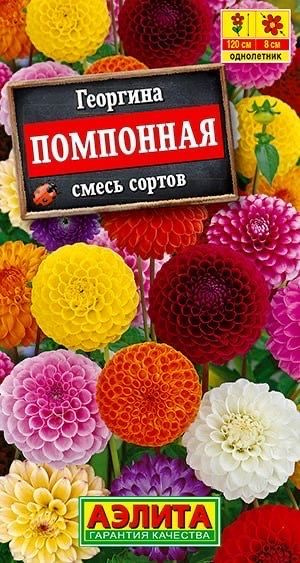 ГЕОРГИНА ПОМПОННАЯ. Семена. Вес 0,3 гр. Смесь быстрорастущих однолетних георгин с махровыми сферическими #1