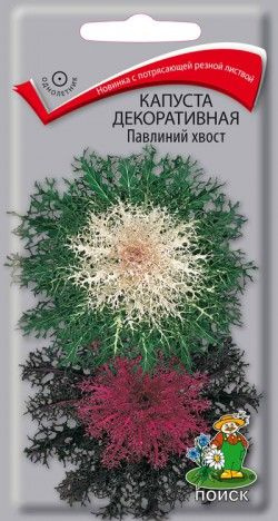 Капуста декоративная Павлиний хвост 7шт. однол. (Поиск) #1