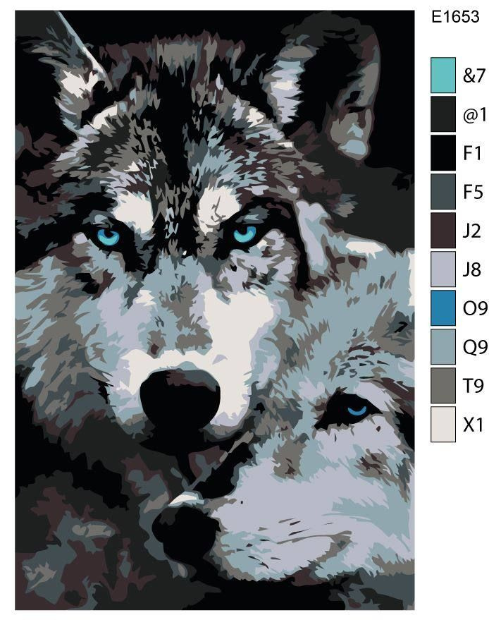 Детская картина по номерам E1653 "Волк и волчица" 20x30 #1