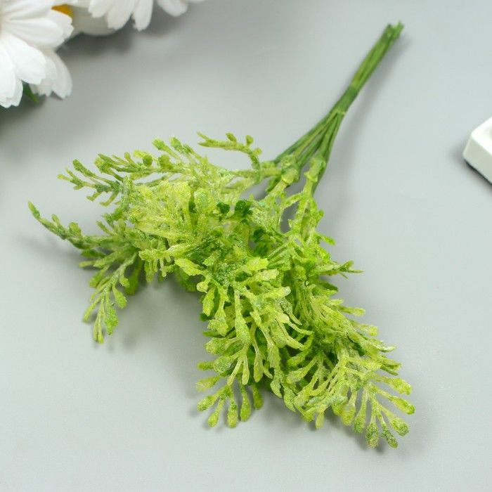 Декор для творчества КНР искусственное растение "Туя" 1 букет из 6 веточек, зеленый, 13 см (7445294) #1