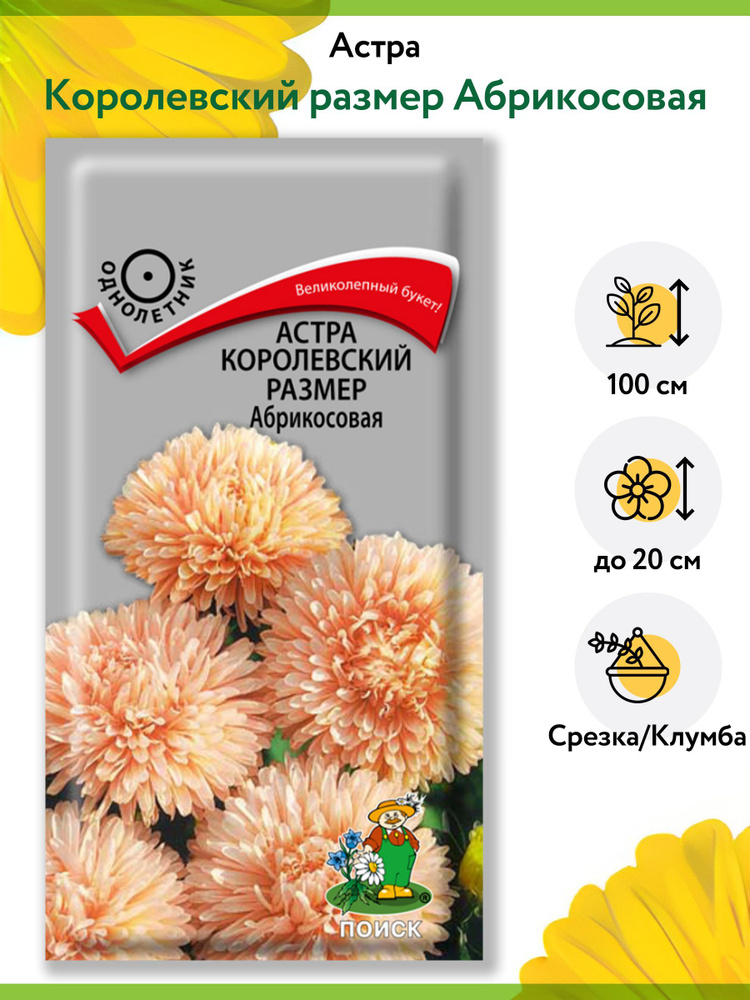 Астра Королевский размер Абрикосовая (1 упаковка - 0,1 г). Семена однолетних цветов для сада, клумбы, #1