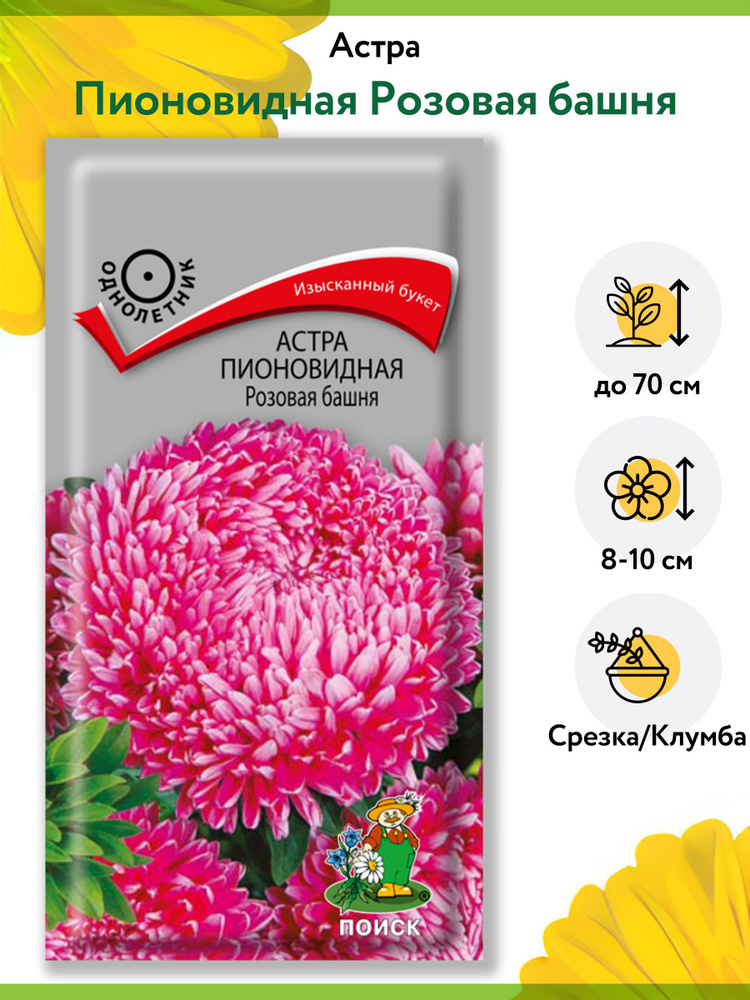 Астра Пионовидная Розовая башня (1 упаковка - 0,3 г). Семена однолетних цветов для сада, клумбы, срезки, #1