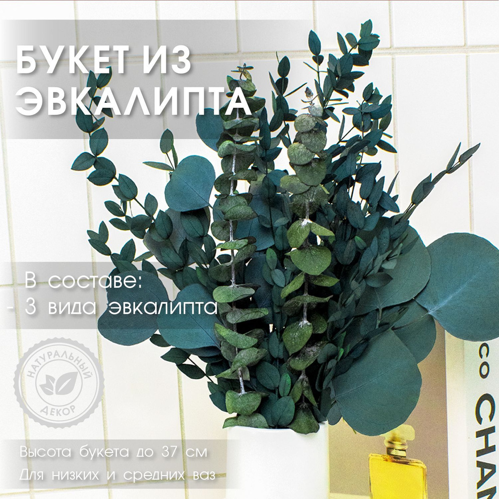 ENiNE decor Стабилизированные цветы Эвкалипт, 37 см, 60 гр #1