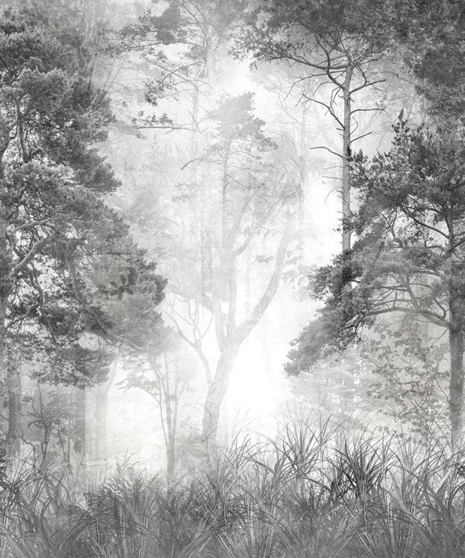 Фотообои флизелиновые на стену 3д GrandPik 10257 "Лес в тумане" см(ШхВ), 200х240 см  #1