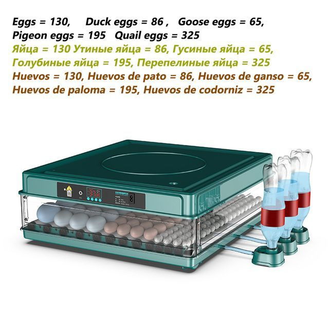 45 инкубатор для яиц автоматический 220V/12V #1
