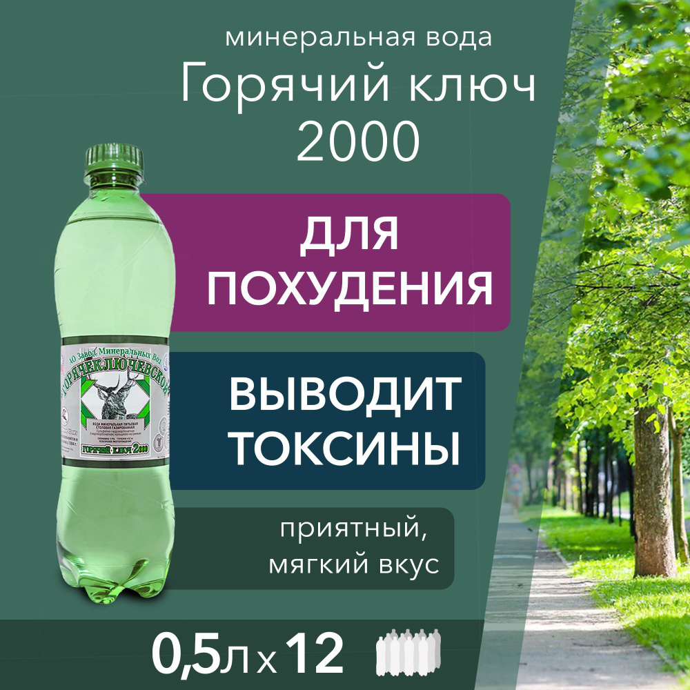 Вода Горячий Ключ 2000. Объем 0,5л*12. Вода минеральная питьевая газированная природная чистая целебная #1