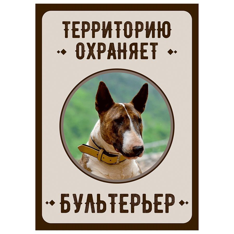 Табличка, Злая собака, Территорию охраняет Бультерьер, на металлической основе, 18см х 25 см, на забор, #1