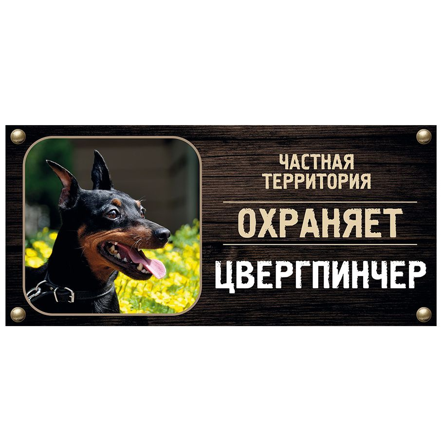 Табличка, Злая собака, Территорию охраняет Цвергпинчер, на металлической основе, 30см х 14 см, на забор, #1