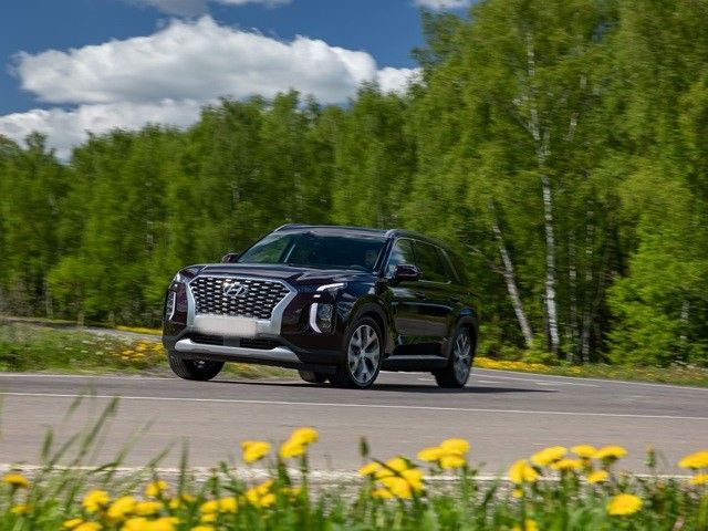 Плёнка для оклейки под ручками Hyundai Palisad (2020) #1